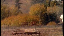 Who Killed Malcom Smith