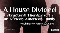 A House Divided - Structural Therapy with a Black Family with Harry Aponte