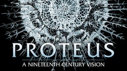 Proteus - An Animated Documentary About Biologist and Artist Ernst Haeckel