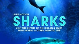 Sharks: Visit the Depths of the Ocean & Swim with Sharks & Other Aquatic Life (Blue Motion)