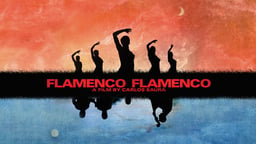 Flamenco, Flamenco - A Musical Odyssey Through a Dynamic Art Form