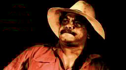 Warren Williams: The Stories, The Songs