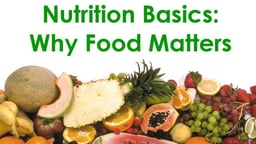 Nutrition Basics: Why Food Matters