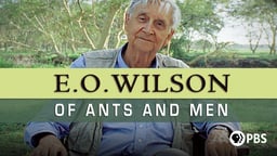 E. O. Wilson - Of Ants and Men