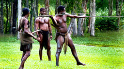 Hunter-Gatherers and Polynesians