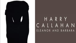 Harry Callahan: Eleanor and Barbara