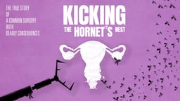 Kicking the Hornet's Nest