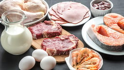 Protein’s Critical Role in Body Composition