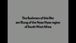 !Kung Series Collection