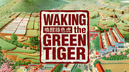 Waking the Green Tiger