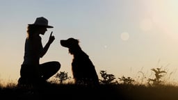 The Principles of Dog Training
