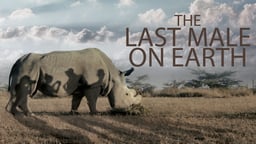 The Last Male On Earth
