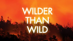 Wilder Than Wild: Fire, Forests, and the Future