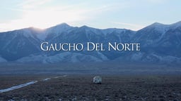 Gaucho del Norte - A Chilean Sheepherder Working in Idaho