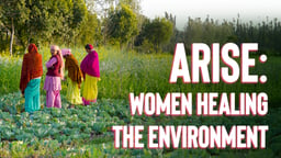 Arise - Women Healing the Environment