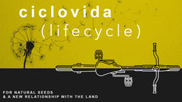 Ciclovida Lifecycle - Sowing the Seeds of Change in Brazil