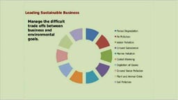 Sustainability Matters - Business Strategies for Environmental Leadership by William Barnett