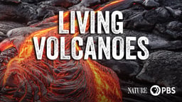 Nature: Living Volcanoes