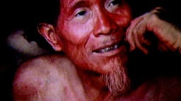 Moonblood - A Yanomamo Creation Myth as Told by Dedeheiwa