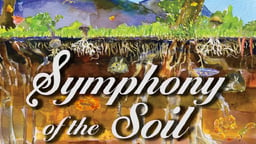 Symphony of the Soil - An Artistic Examination of Our Relationship With Soil