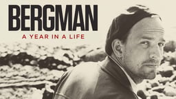 Bergman: A Year in a Life