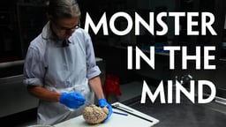 Monster in the Mind (Abridged version)