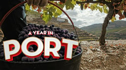 A Year in Port - Examining How Port Wine is Made in Portugal