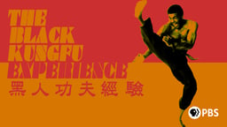 Black Kung Fu Experience
