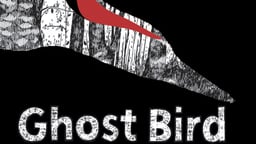 Ghost Bird - Searching for the "Holy Grail" of Birding