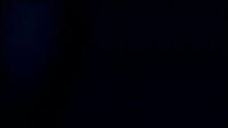 The Six Billion Dollar Experiment