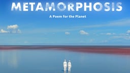 Metamorphosis - A Poem for the Planet