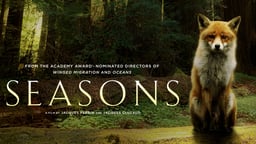 Seasons - A Journey into the Forests of Europe