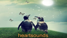 Heartsounds - Transforming Your Life