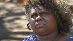 Jabiru 0886: Trespass