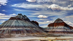 Petrified Forest and Other Fossil Parks