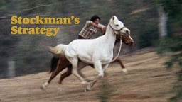 Stockman's Strategy