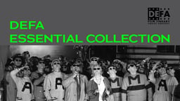 DEFA Essential Collection