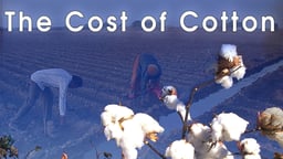 The Cost of Cotton - Questions of Ethics in the Cotton Production Chain