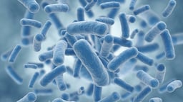 Probiotics and Our Bacterial Friends