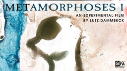 Metamorphoses I