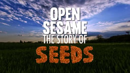 Open Sesame - The Story of Seeds