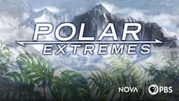 Polar Extremes