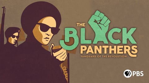 The Black Panthers - Vanguard of the Revolution 