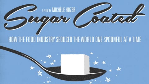 Sugar Coated - Investigating PR Tactics Implemented by the Food Industry