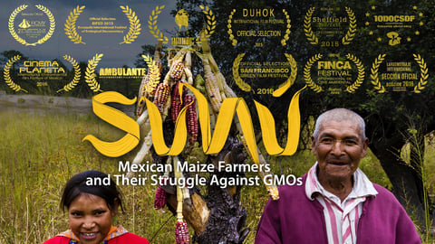 Sunú - Mexican Maize Farmers