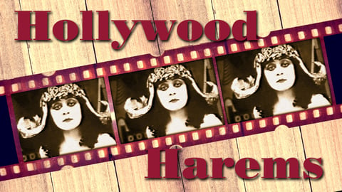 Hollywood Harems