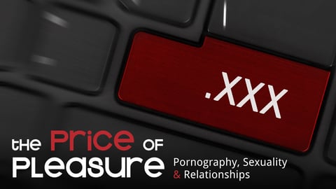 The Price of Pleasure (Edited Version) - Pornography, Sexuality & Relationships