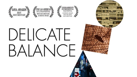 Delicate Balance - Three Stories Exploring Globalization