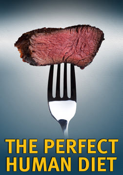Perfect Human Diet - A Scientific and Historical Investigation of the Benefits of the Paleo Diet