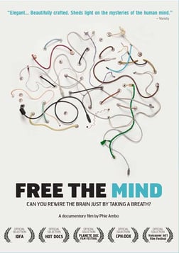 Free the Mind: How Meditation Can Heal the Brain 
